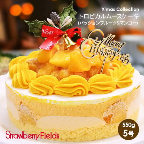 トロピカルムースクリスマスケーキ（パッションフルーツ&マンゴー） 5号【クリスマス】〔トロピカルムースケーキ〕