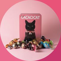 【CACAOCAT】I love CACAOCAT缶 14個入り  母の日2024