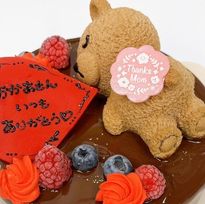 くまちゃんのチョコレートムースケーキ 5号 母の日2026