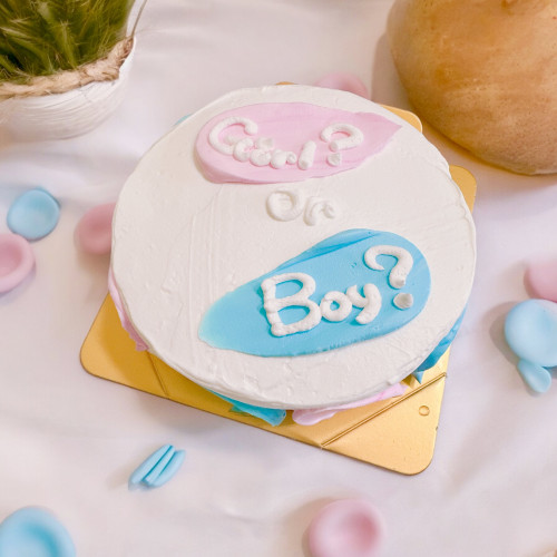 カラー選択♡ジェンダーリビールセンイルケーキ Boy？or Girl？ 5号