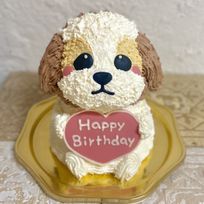 シーズーの立体ケーキ 動物ケーキ 誕生日 ドンムルケーキ センイルケーキ 5号