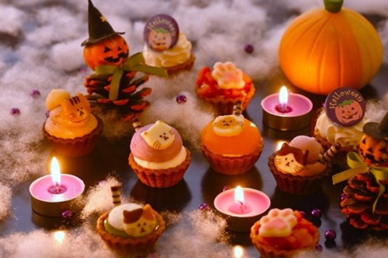 【ハロウィン限定】ねこみにタルトセット 9個入 ハロウィン2025