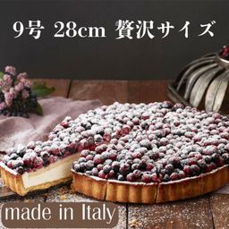 【イタリア産】特別な日に食べたい、、森のフルーツタルト 9号 約28㎝  カット済みクリスマス 2024