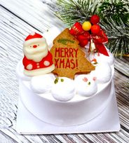 *プティワンコ*  ワンコ(犬用)クリスマスケーキ 人間も一緒に食べられるパティシェの手作りケーキ  【期間・個数限定です 発送は12/15以降となります】