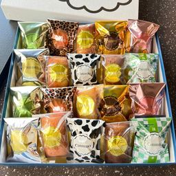 【ちひろ菓子店】20個（10種類）フィナンシェ食べ比べ！贅沢フィナンシェBOX