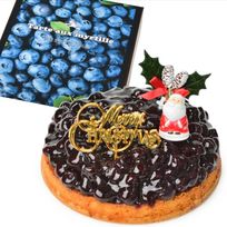クリスマスケーキ ブルーベリータルト タルトケーキ 5号 直径16cm 4人～6人分 600g クリスマス飾り付 スイーツ ギフト クリスマス2025