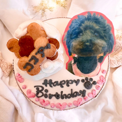 安心無添加！愛犬の可愛い一枚で誕生日をお祝いしようバースデーケーキ-4号