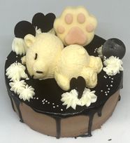 森のくまさんのいちごチョコケーキ５号