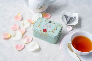 ＮＩＮＡ＇Ｓ ＭＡＲＩＥ－ＡＮＴＯＩＮＥＴＴＥ アールグレイ ティーバッグ缶