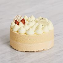 マンゴーレアチーズケーキ ４号 幅15cm×高さ7cm