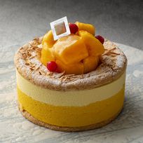 《季節限定商品》トロピカルマンゴー 4号 12㎝ お中元2025
