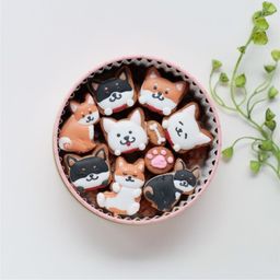 柴犬ver★カラフルで可愛い★アイシングクッキー＆ザクザククッキー缶
