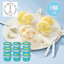 日本の柑橘シャーベット（９個）