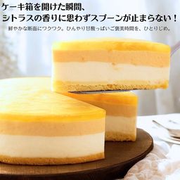 《アイスケーキ 》アイスケーキ 湘南ゴールドとチーズアイスケーキ (直径15cm) 