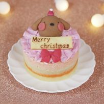 犬猫用 お魚のクリスマスケーキ