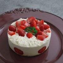 【店頭受取】ヴィーガンRAW クリスマスケーキ・ブラン4号《ヴィーガンケーキ》《ロースイーツ》《アレルギー対応》