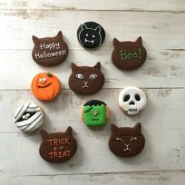 【店頭受取】《ご予約は10/15まで》【アイシングクッキー】黒猫＋ハロウィンアイシングクッキー5袋セット ハロウィン2025