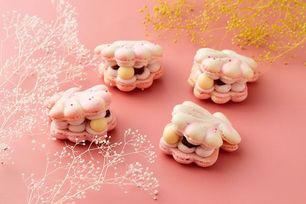 【店頭受取】貝殻 韓国マカロン４つ入りBOX 