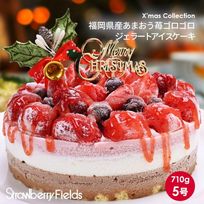 【店頭受取】福岡県産 あまおう苺ゴロゴロジェラートアイスクリスマスケーキ 5号 【クリスマス】〔あまおう苺ジェラート〕