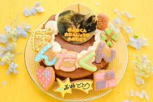【店頭受取】ＴＯＲＯＫＥＲＵクラシックショコラ フォトケーキ ひらがなアイシングクッキーケーキ  写真ケーキ 5号 15cm ※ひらがなタイプ登場しました 【お好きなイラストも人気です】