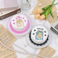 【店頭受取】ねこ耳センイル写真ケーキ 4号《選べる9色｜肉球｜センイルケーキ｜韓国｜お好きな写真で✧》 