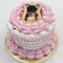 2号ケーキ