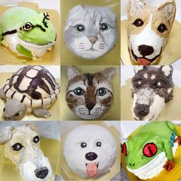 [5号]うちの子ペットオーダー立体ケーキ【15cm(お顔のみ)】