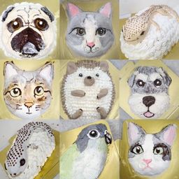 [6号]うちの子ペットオーダー立体ケーキ【18cm(お顔のみ)】