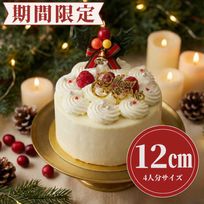 バニラムースケーキ クリスマス2025