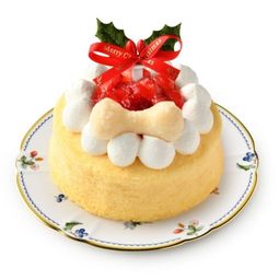 予約受付中 2025犬用 猫用 クリスマス犬猫用チーズスフレ 犬猫用ケーキ クリスマスケーキ