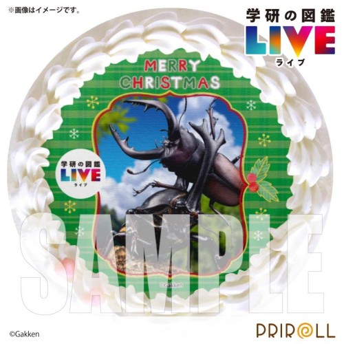 Xmasプリケーキ（昆虫）【特典缶バッジ付き】[学研の図鑑LIVE]5号 15cm