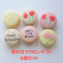 お母さんへ、母の日gift〜マカロン６個セット〜