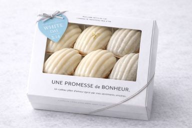 【ホワイトデー限定】ホワイトチョコがけマドレーヌ 3種6個セット（プレーン・柚子・ミルクティー）ホワイトデー２０２６