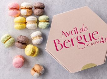 マカロン 12個入 