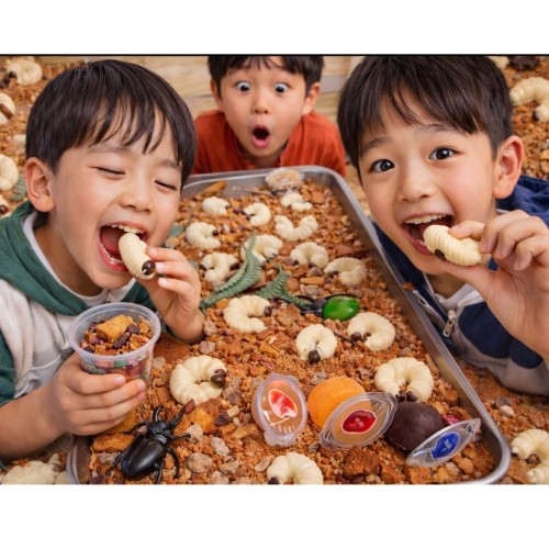 キャー！！幼虫カップ(⌒∇⌒) ６個セット☆ 今得！！お値段そのまま幼虫＋なんと６匹サービス！