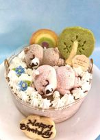 なかよしくまちゃん★ぷぅとぴぃのおひるね【虹のなかで】(ふんわりショコラ)5号