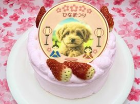 ひなまつり わんこ＆にゃんこポップアップ写真ケーキ 3号 9cm ひな祭り2026