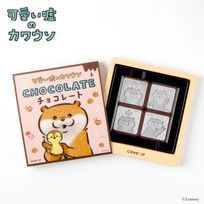 『可愛い嘘のカワウソ』デザインチョコレート