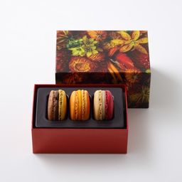 マカロン 3個詰合わせ ホワイトデー2026