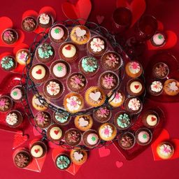 ミニスペシャルチョコボックス（ミニカップケーキ48個セット） ホワイトデー2026