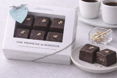 生チョコ食感の生ガトーショコラ 6個入り ホワイトデー2026