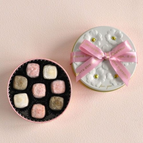 金澤ほろり（桜）