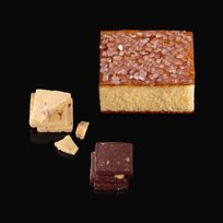 【詰合せ】ザラーラ3個・ノボタイル12枚