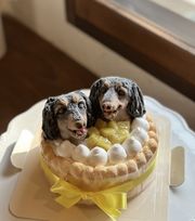 ノワールデコ ツインズ