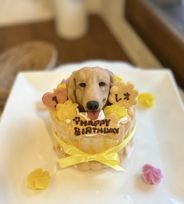 さつまいものシャルロット 