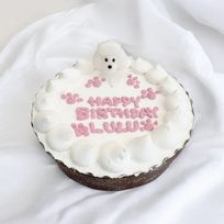 《無添加》わんちゃんねこちゃんにも安心安全の可愛いバースデーケーキをプレゼントしよう 4号