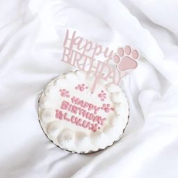 《無添加》春生まれのわんちゃんねこちゃんにぴったりの桜色バースデーケーキ 4号