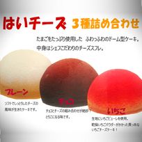 はいチーズ ３号 9cm（プレーン、いちご、チョコの３種セット）