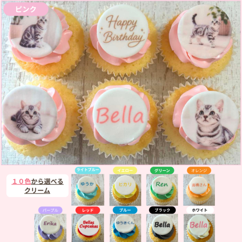 フォトアルバムカップケーキ6個セット☆選べる10色【写真/メッセージ/名前入り】