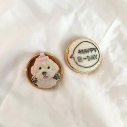 《無添加》わんこのためのごほうびカップ